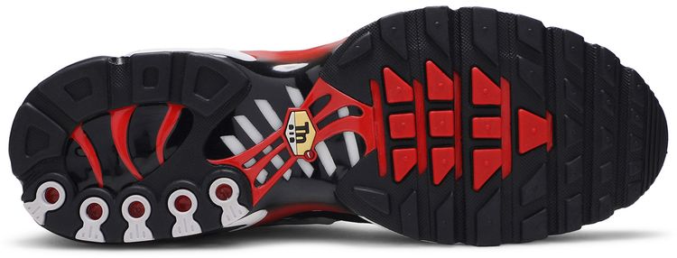 Nike Air Max Plus Script Swoosh