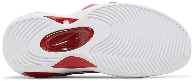 Nike Air Zoom Flight 95 True Red 2023
