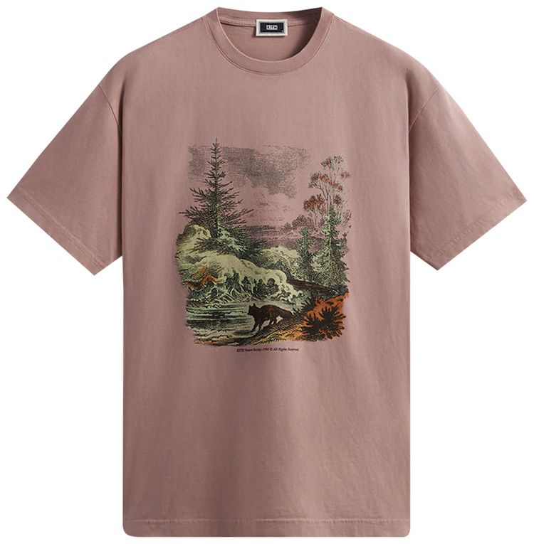 Kith Nature Society Vintage Tee Dusty Quartz