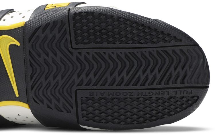 Nike LeBron Zoom 20 5 5 White Black