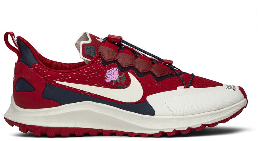 gyakusou air zoom pegasus 36 tr