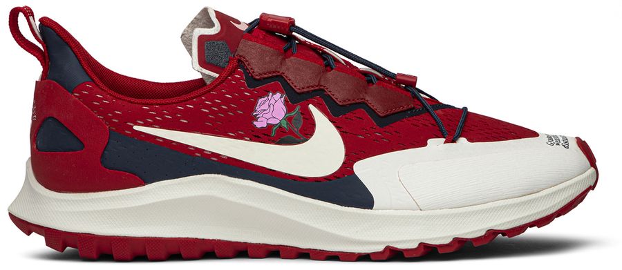 gyakusou zoom pegasus 36