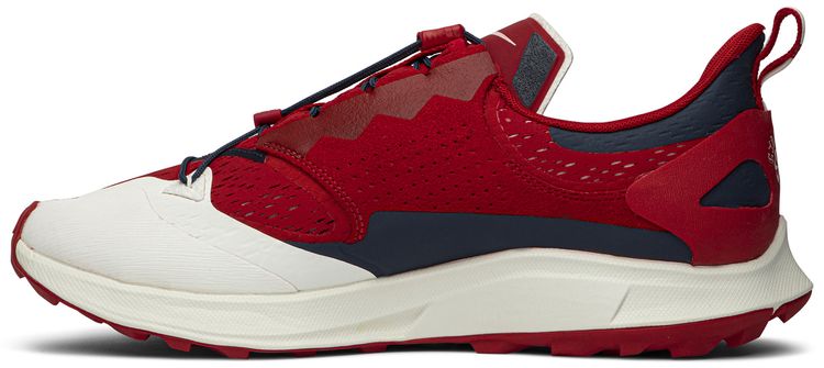 Gyakusou x Air Zoom Pegasus 36 Trail Red