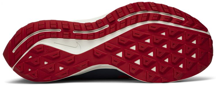 Gyakusou x Air Zoom Pegasus 36 Trail Red