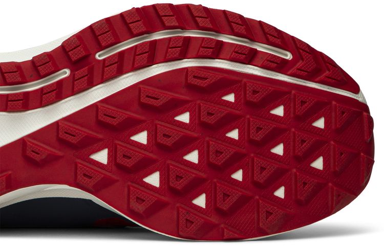 Gyakusou x Air Zoom Pegasus 36 Trail Red