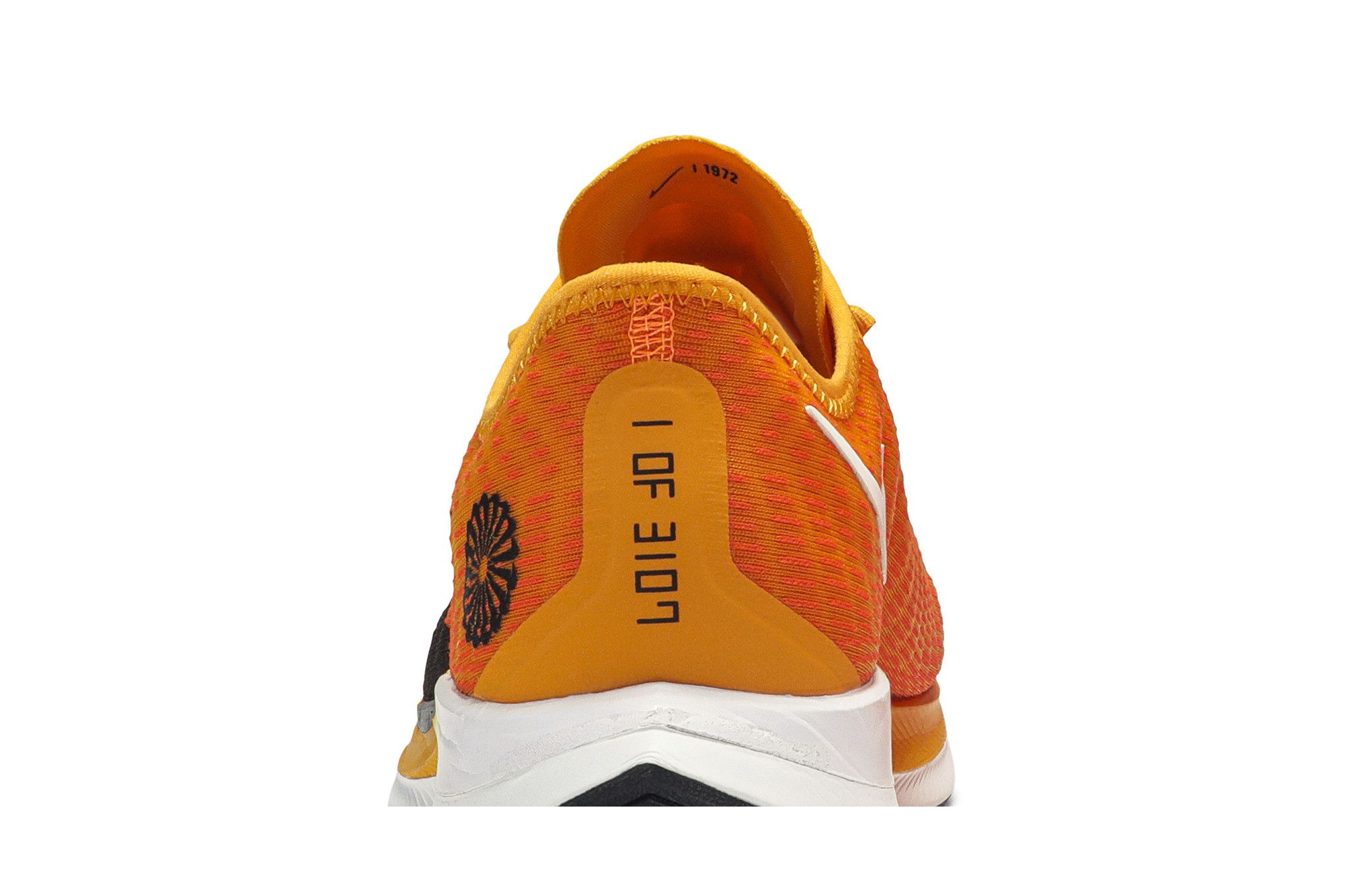 Size 10.0 Zoom Pegasus Turbo 2 Blue Ribbon Sports