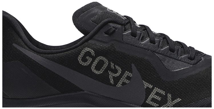 Air Zoom Pegasus 36 Trail Gore Tex Black
