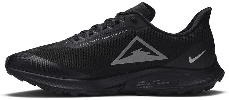 Air Zoom Pegasus 36 Trail Gore Tex Black
