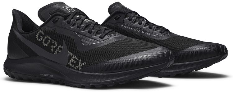 Air Zoom Pegasus 36 Trail Gore Tex Black