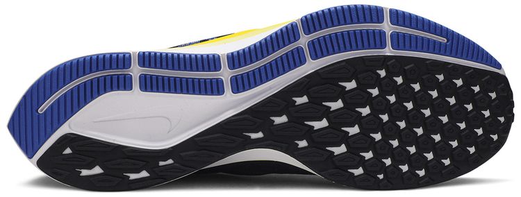 Cody Hudson x Nike Air Zoom Pegasus 36 Hyper Royal