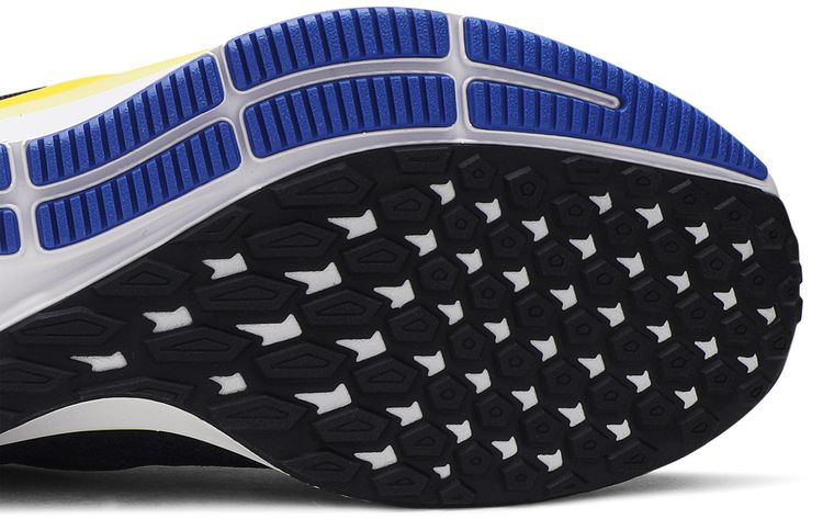 Cody Hudson x Nike Air Zoom Pegasus 36 Hyper Royal