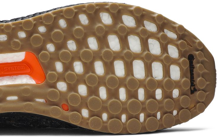 Action Bronson x adidas UltraBoost Realtree Camo Sample