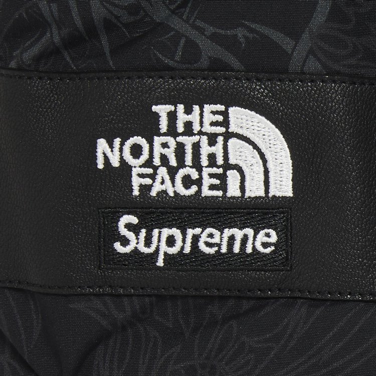 Supreme x The North Face Steep Tech Gloves Black Dragon