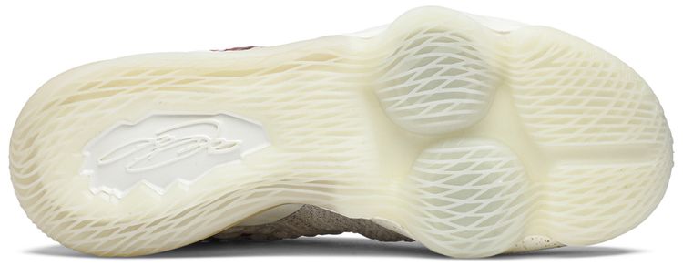 Nike LeBron 17 WinWin