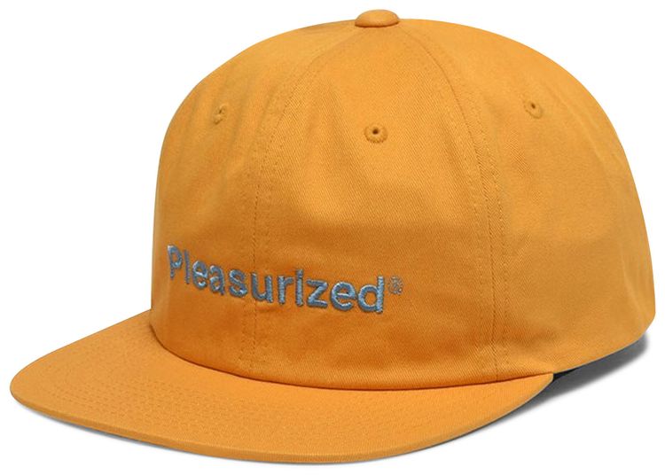 Pleasures Pleasurized Hat Squash