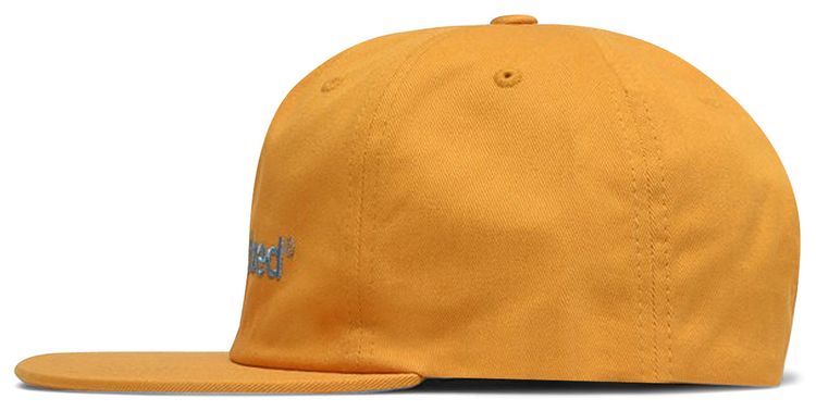 Pleasures Pleasurized Hat Squash