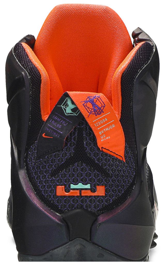 LeBron 12 Instinct
