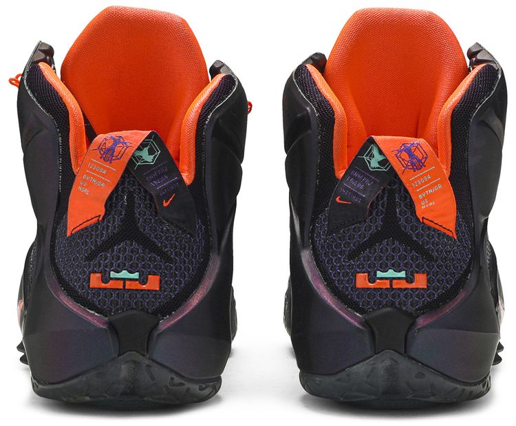 LeBron 12 Instinct