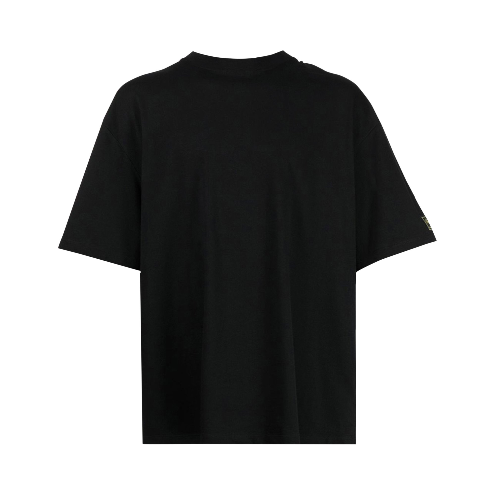 Buy Raf Simons Oversized T-Shirt With Hood Fauves 'Black' - 222