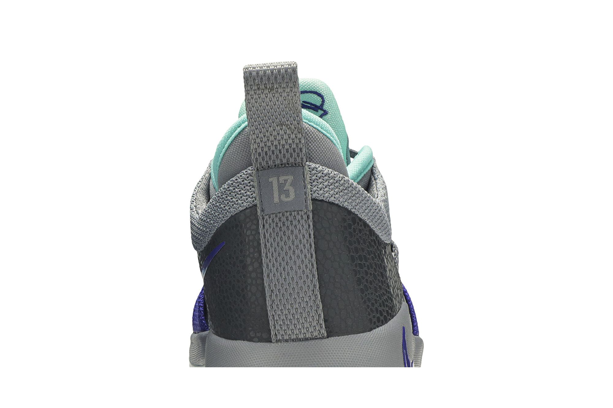 Pg 2 safari 2025