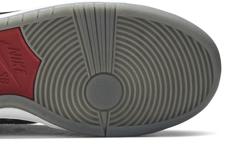 Brooklyn Projects x Nike Dunk High Premium SB Paparazzi