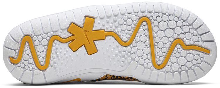 Nike Wmns Zoom Pulse Doernbecher   Zion