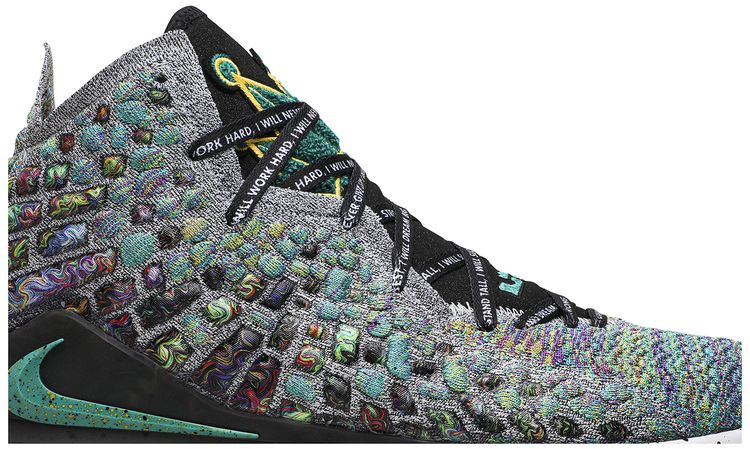 Nike LeBron 17 I Promise