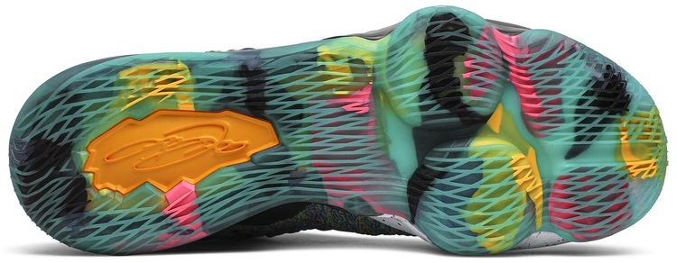 Nike LeBron 17 I Promise