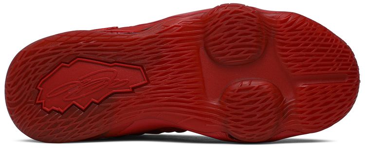 Nike LeBron 17 BG Red Carpet