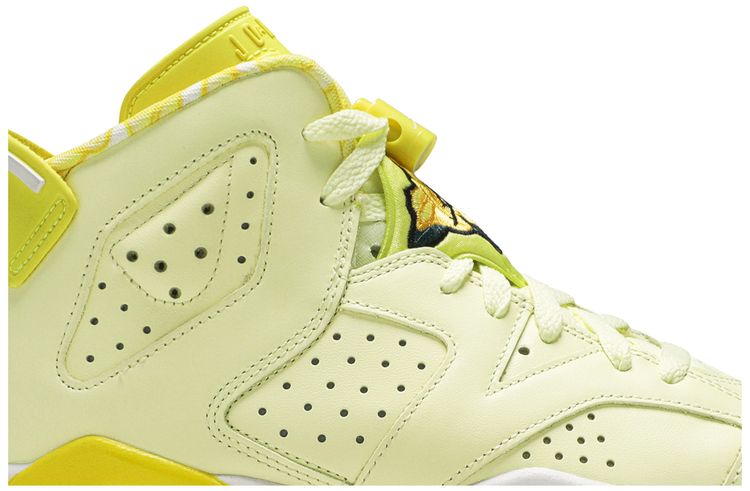 Air Jordan 6 Retro GG Citron Tint
