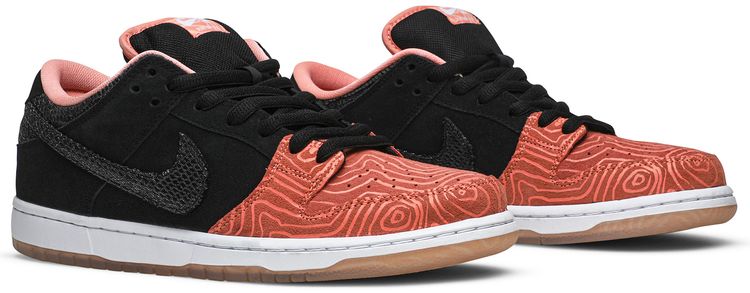 Premier x Nike Dunk Low Pro SB Fish Ladder