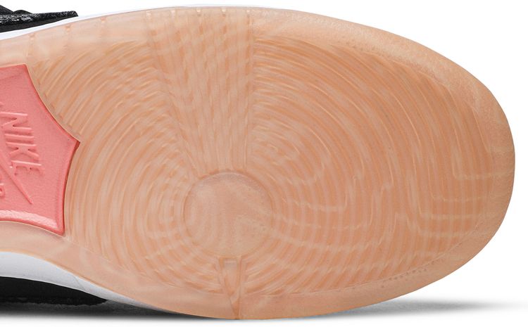 Premier x Nike Dunk Low Pro SB Fish Ladder