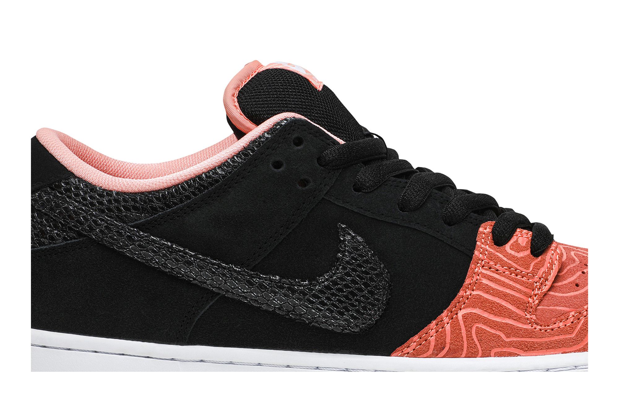 Nike dunk fish ladder online