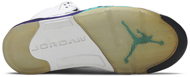 Air Jordan 5 Retro LS Grape 2006