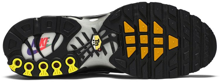 Nike Air Max Plus TN Black Multi