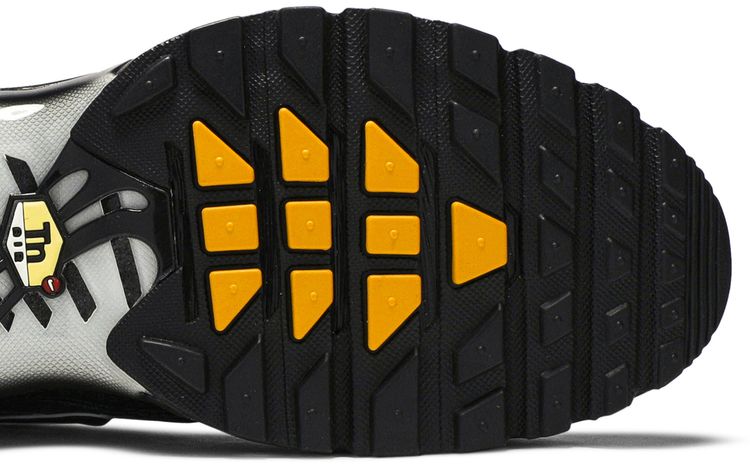 Nike Air Max Plus TN Black Multi