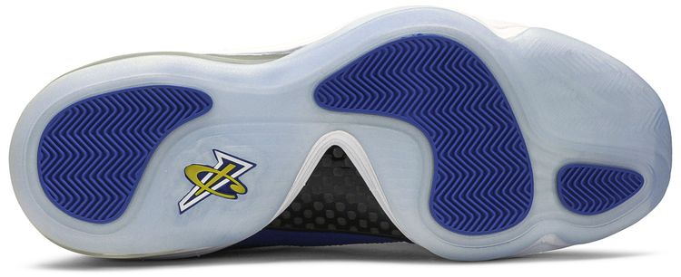 Nike Air Penny 5 Blue Chips