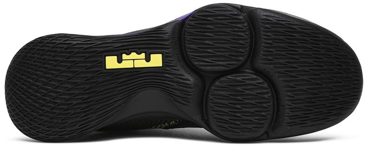 Nike LeBron Witness 4 EP Lakers