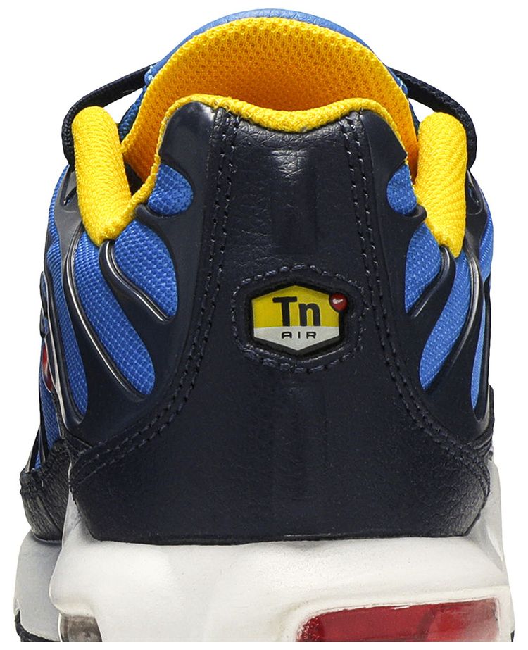 Nike Air Max Plus GS Photo Blue