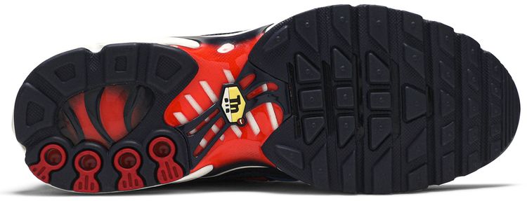 Nike Air Max Plus GS Photo Blue