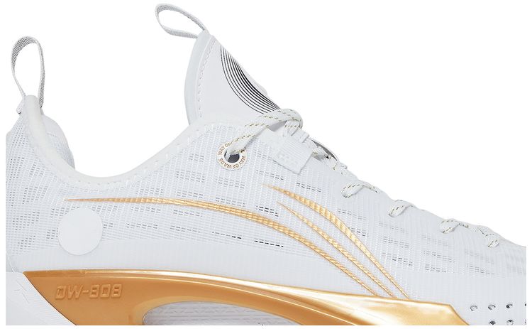 Li Ning Wade 808 2 Dynasty