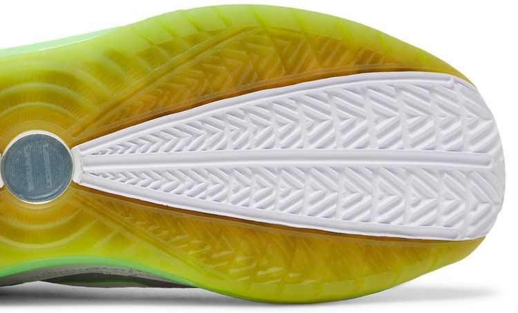 Nike Air Max LeBron 7 Low Dunkman