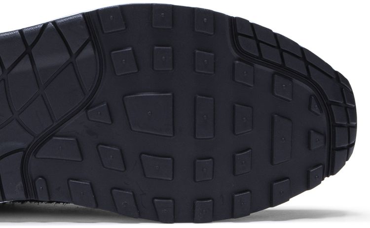 DeAaron Fox x Nike Air Max 1 Swipa