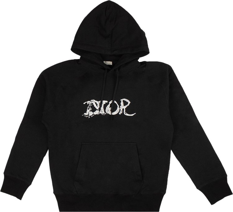 Buy Dior x Peter Doig Embroidered Logo Hooded Sweatshirt 'Black ...