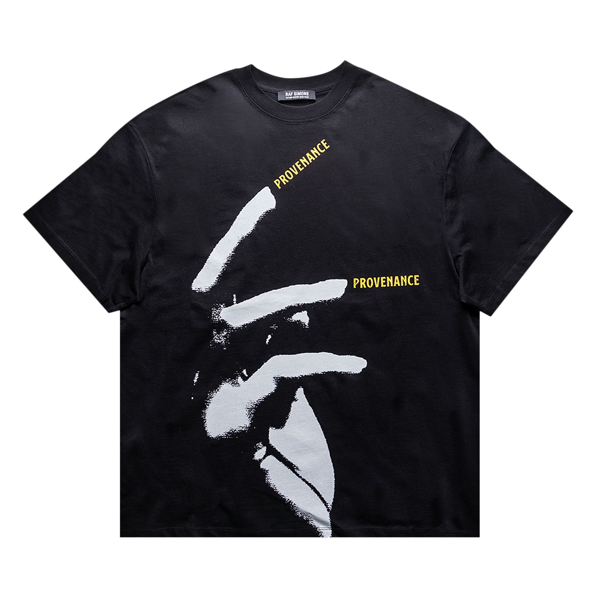 Buy Raf Simons Nails Print Oversized T-Shirt 'Black' - 222 M133
