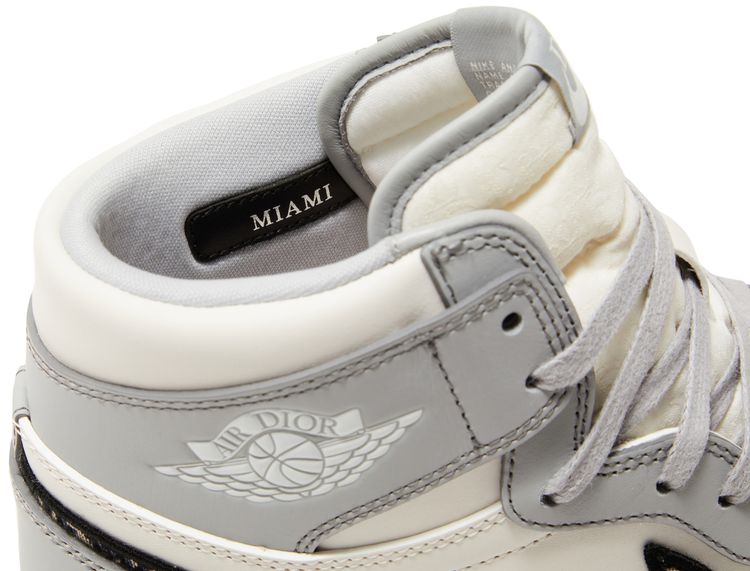 Dior x Air Jordan 1 High