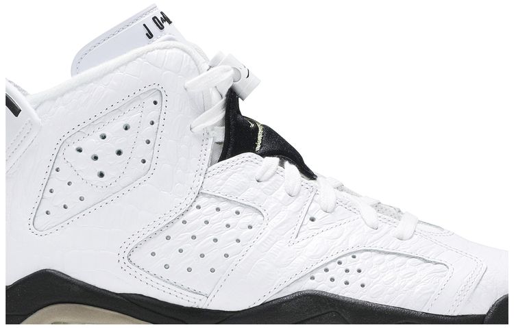 Air Jordan 6 Retro BG Alligator