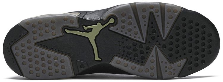 Air Jordan 6 Retro BG Alligator