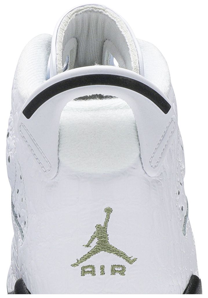 Air Jordan 6 Retro BG Alligator