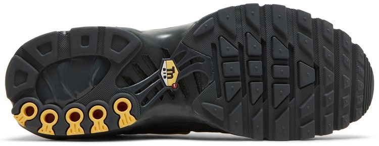 Nike Air Max Plus TN Black Metallic Gold